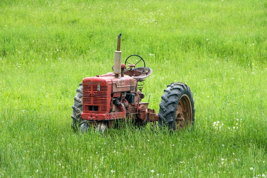 agria Geräteträger 5900 Bison Diesel E-Start