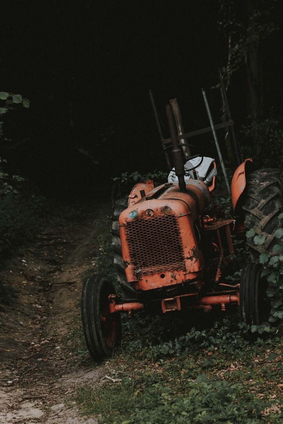 agria Geräteträger 5900 Zwenl E-Start – nur Grundgerät