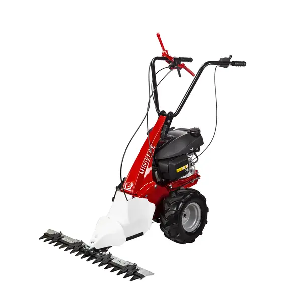 eurosystems Mehrzweckgerät M150 RG (MINIEFFE) (B&S) – nur Grundgerät